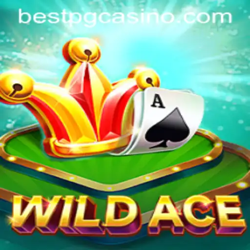 BestPG Casino App